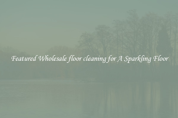 Featured Wholesale floor cleaning for A Sparkling Floor
