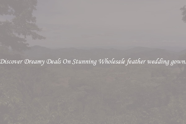 Discover Dreamy Deals On Stunning Wholesale feather wedding gowns