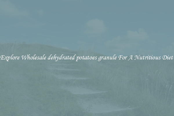Explore Wholesale dehydrated potatoes granule For A Nutritious Diet 