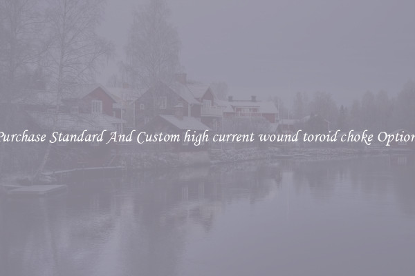 Purchase Standard And Custom high current wound toroid choke Options