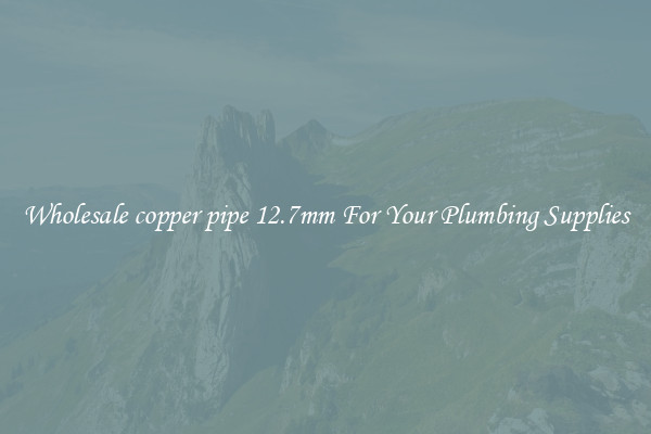 Wholesale copper pipe 12.7mm For Your Plumbing Supplies