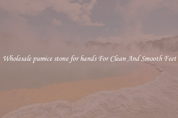 Wholesale pumice stone for hands For Clean And Smooth Feet