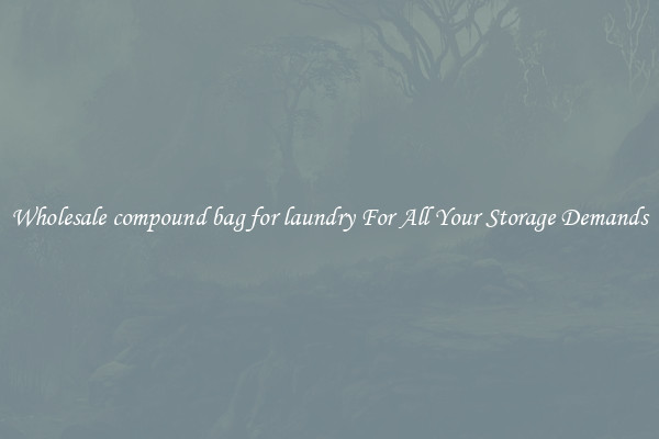 Wholesale compound bag for laundry For All Your Storage Demands