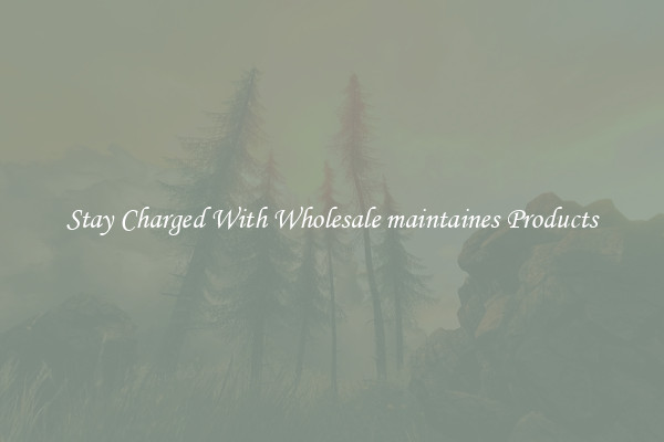 Stay Charged With Wholesale maintaines Products