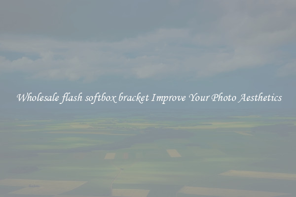 Wholesale flash softbox bracket Improve Your Photo Aesthetics