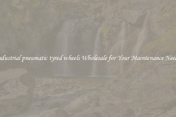 industrial pneumatic tyred wheels Wholesale for Your Maintenance Needs