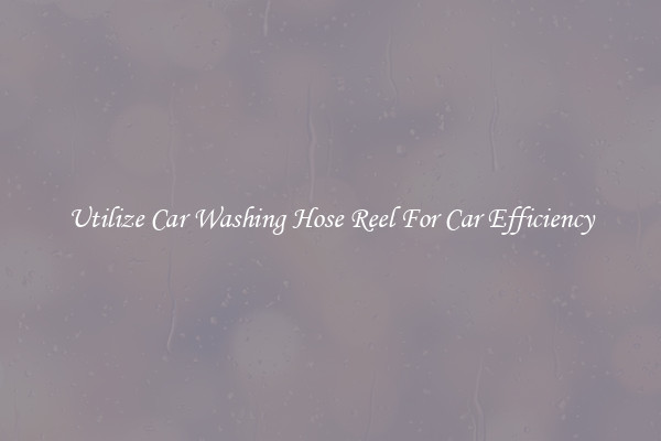 Utilize Car Washing Hose Reel For Car Efficiency