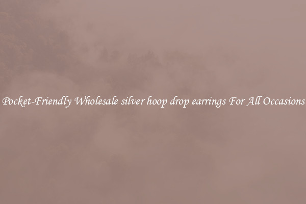 Pocket-Friendly Wholesale silver hoop drop earrings For All Occasions