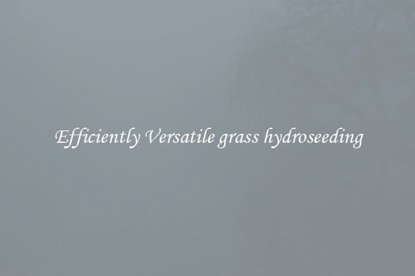 Efficiently Versatile grass hydroseeding