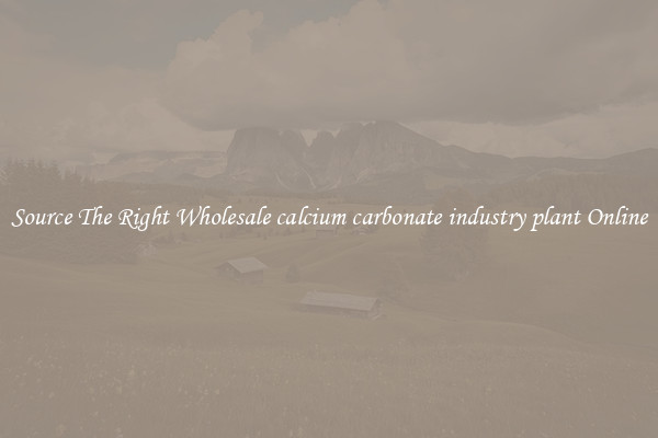 Source The Right Wholesale calcium carbonate industry plant Online
