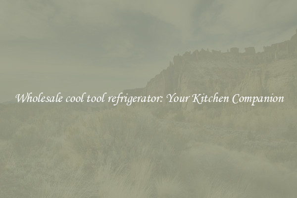 Wholesale cool tool refrigerator: Your Kitchen Companion