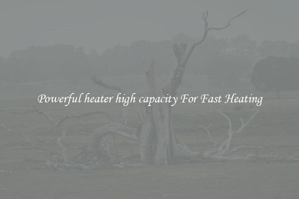 Powerful heater high capacity For Fast Heating